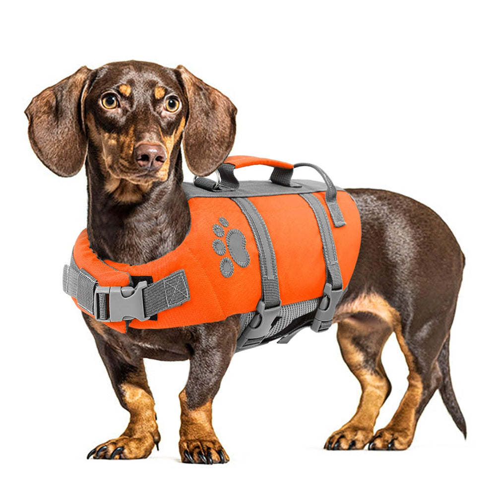 Queenmore medium dog life jacket shown from the front.