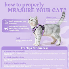 rabbitgoo Cat Harness and Leash Set with a close view of its air-mesh fabric.