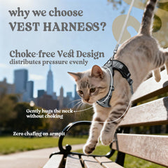 rabbitgoo cat harness back view showing the reinforced leash attachment ring.