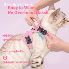 rabbitgoo Cat Harness cam lock buckles shown on the adjustable straps.