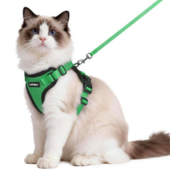 rabbitgoo Cat Harness and Leash Set shown from the front in grass green.