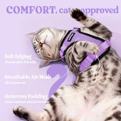 rabbitgoo Cat Harness and Leash Set with the matching leash.