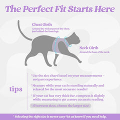 rabbitgoo Cat Harness in its light purple vest style.