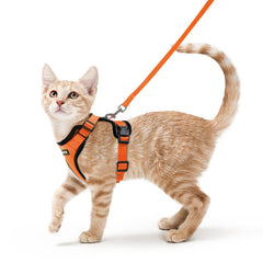 rabbitgoo Cat Harness and Leash Set shown from the front in orange.