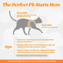 rabbitgoo cat harness and leash set shown from the back.