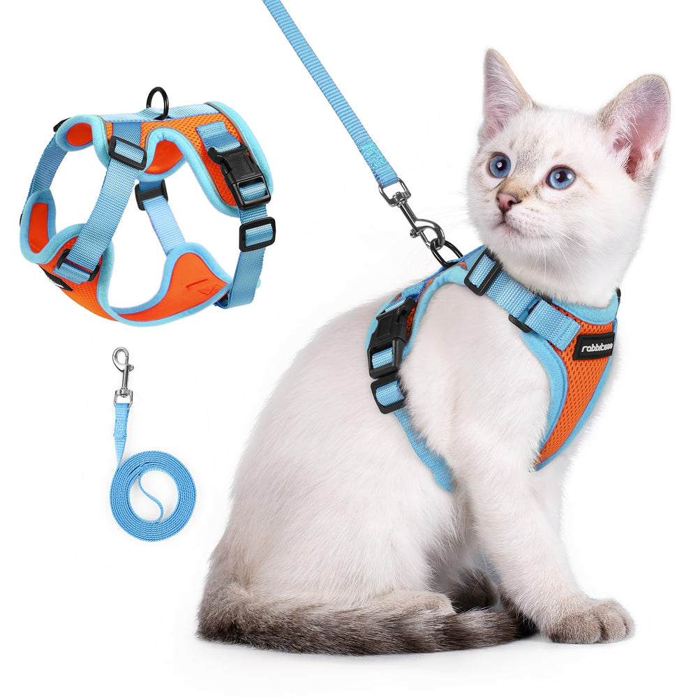 rabbitgoo Cat Harness and Leash Set shown from the front in orange and light blue.