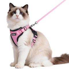 rabbitgoo cat harness and leash set shown from the front in pink.
