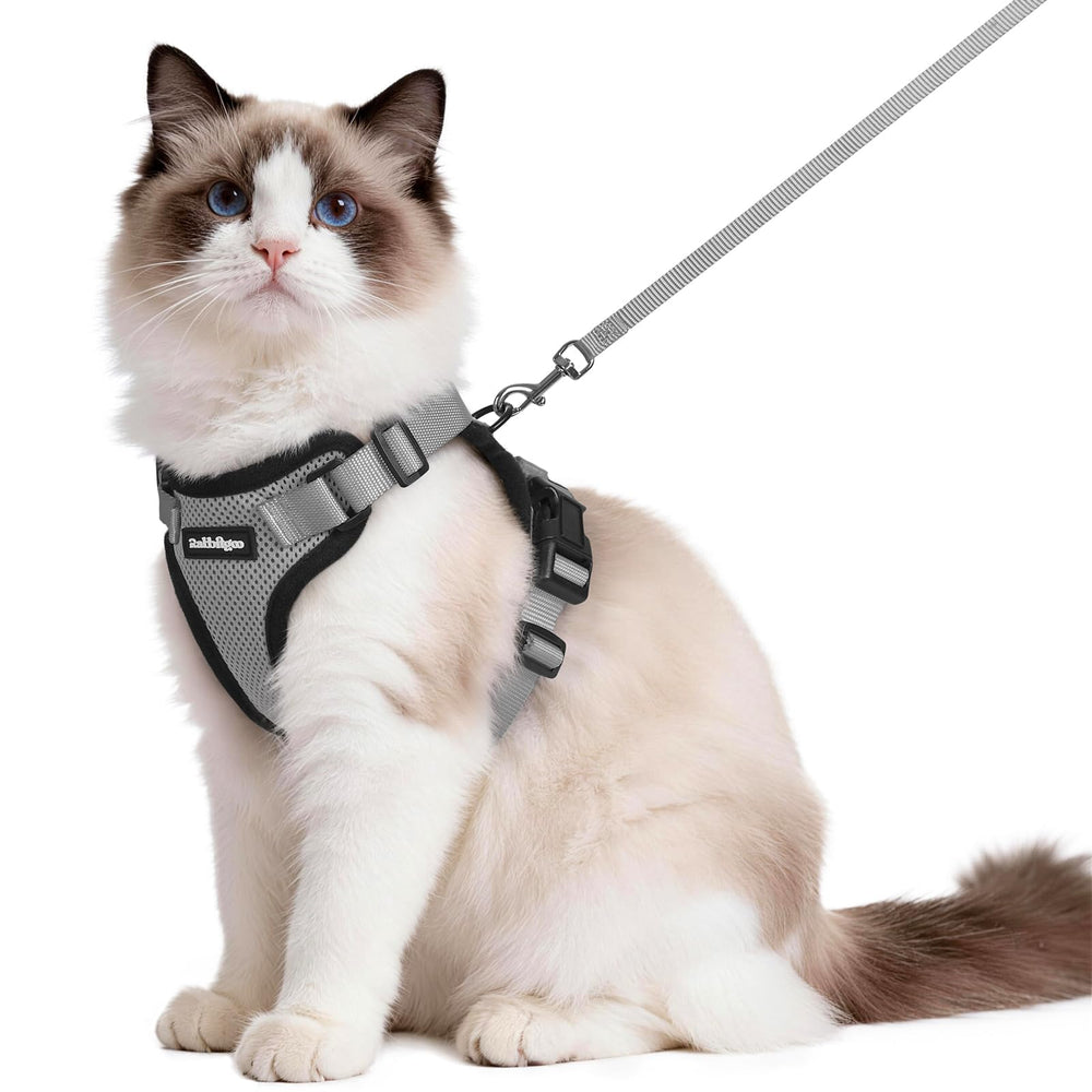 rabbitgoo cat harness and leash set shown from the front in grey.