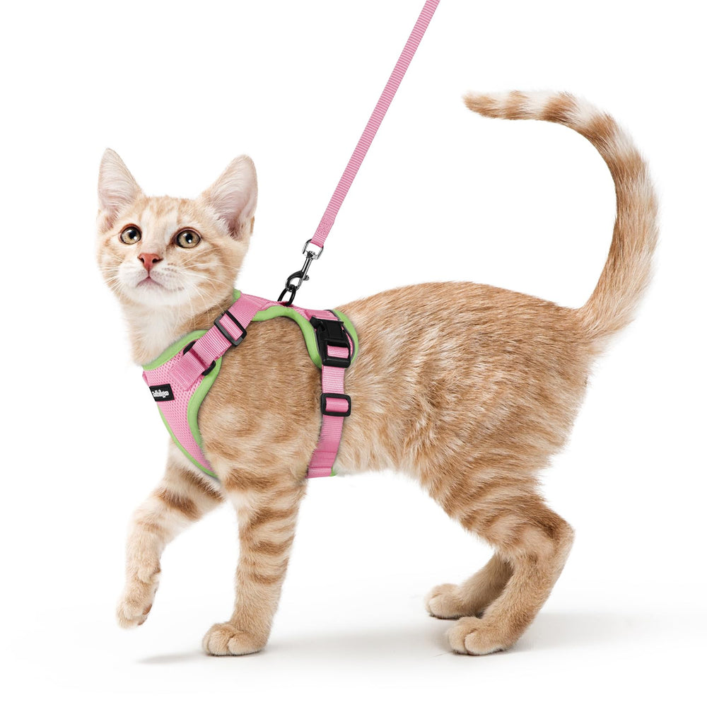 rabbitgoo Cat Harness and Leash Set shown from the front.