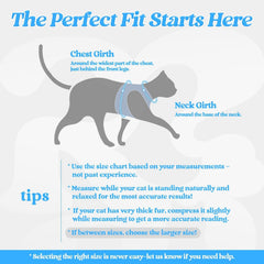rabbitgoo Cat Harness and Leash Set shown with its matching leash.