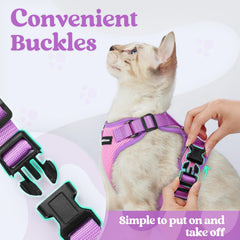 rabbitgoo Cat Harness and Leash Set showing the vest-style mesh harness.