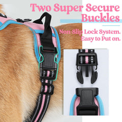 rabbitgoo dog harness close-up of the quick-release buckles and adjustable straps.