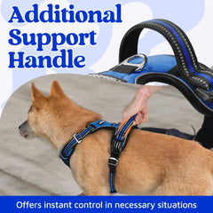 rabbitgoo dog harness air mesh and soft cushioning close-up.