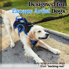 rabbitgoo dog harness showing its chest and belly straps.