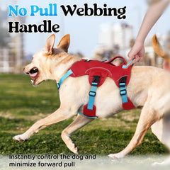 rabbitgoo dog harness detail showing the chest and belly securing straps.