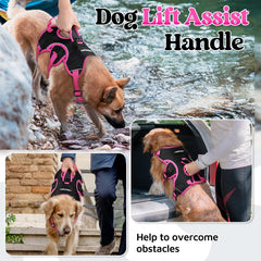 rabbitgoo dog harness chest and belly straps shown in detail.