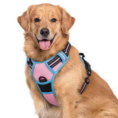 rabbitgoo Dog Harness shown from the front as a vest-style harness.