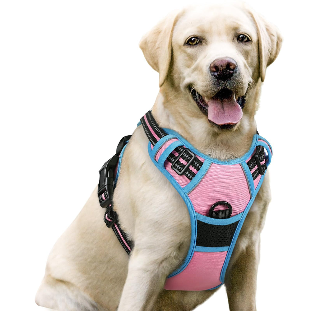 rabbitgoo dog harness shown from the front as a vest-style harness.