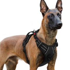 rabbitgoo Dog Harness shown from the front, highlighting its overall design.