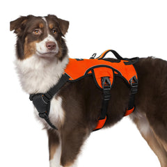 rabbitgoo dog harness shown from the front to display its overall design.