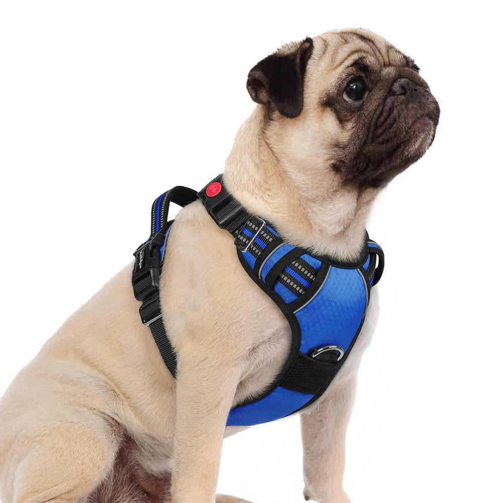 rabbitgoo dog harness shown from the front.