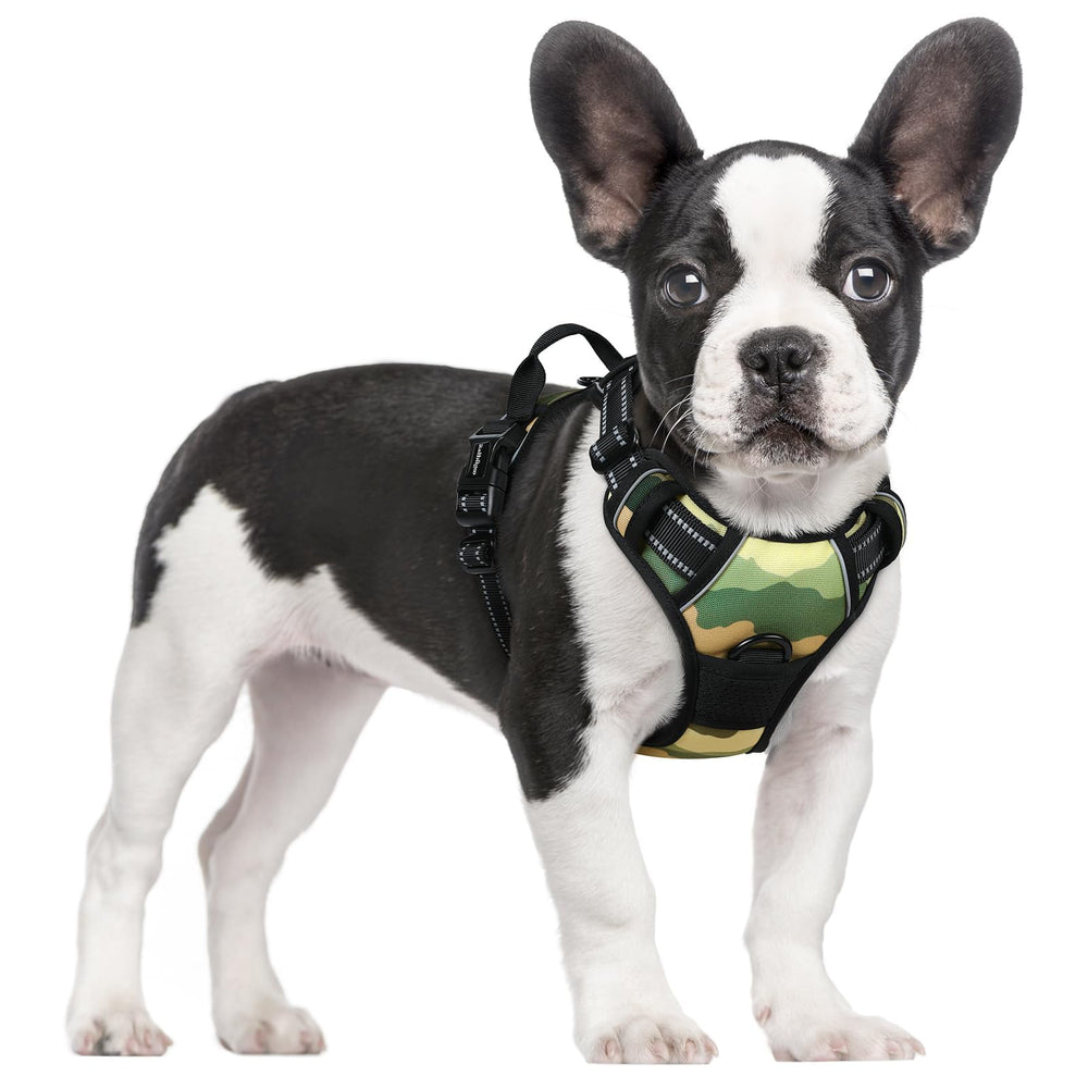 rabbitgoo Dog Harness shown from the front.