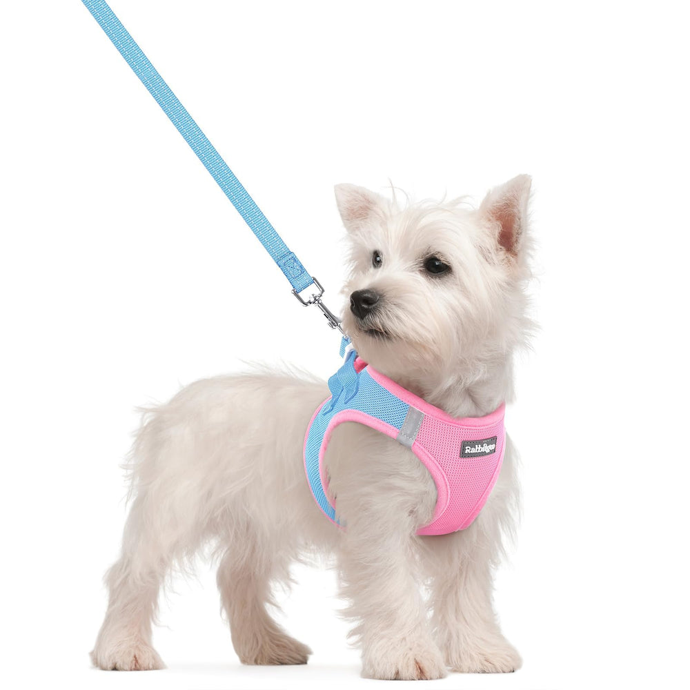 rabbitgoo dog harness shown from the front as a small-dog vest.