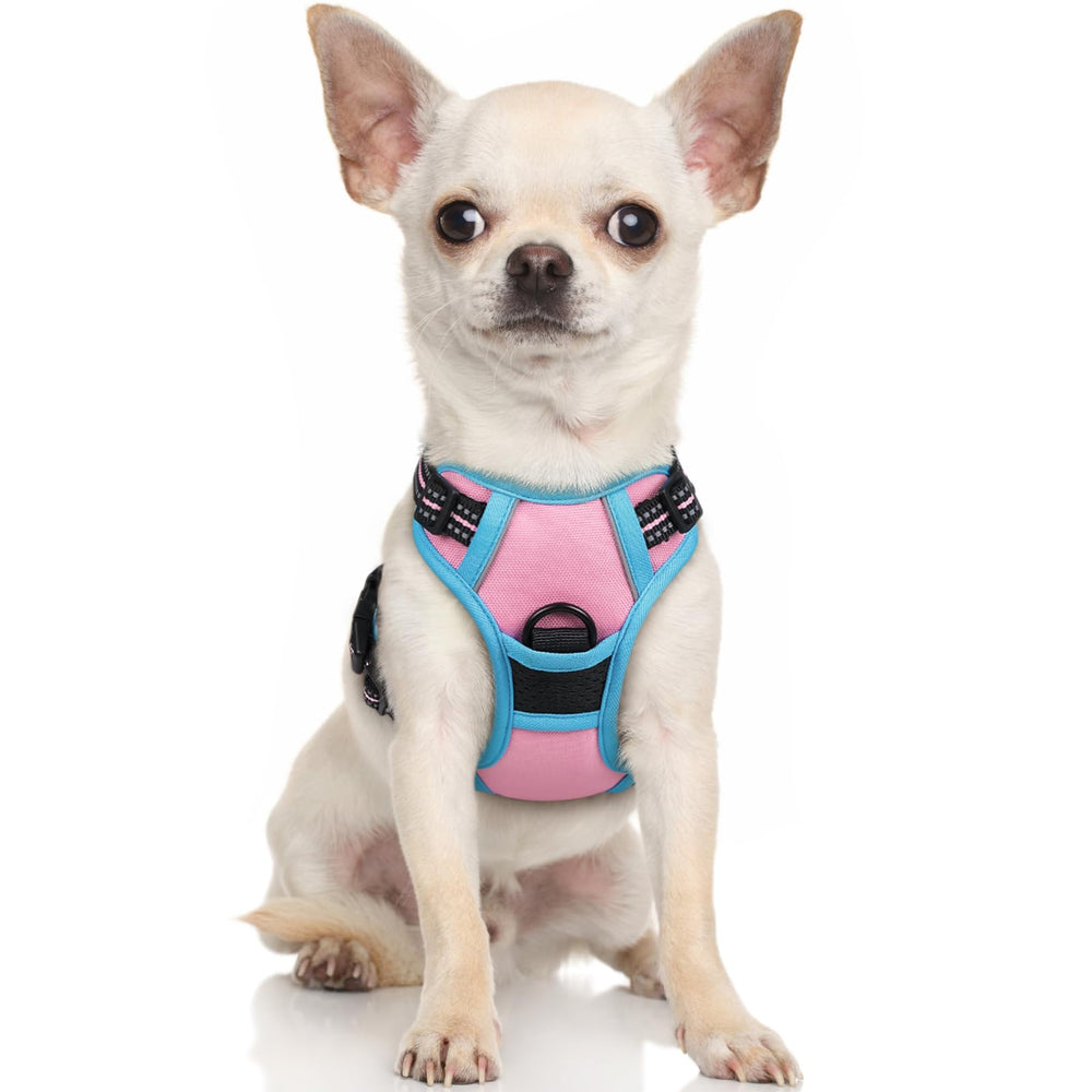 rabbitgoo Dog Harness shown from the front as a small-dog vest.