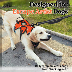 rabbitgoo dog harness close-up showing the padded carrying handle.