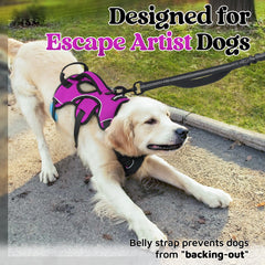 rabbitgoo dog harness with a close view of the padded lift handle.