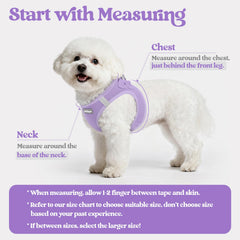 rabbitgoo dog harness close-up showing its quick-dry air mesh