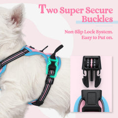 rabbitgoo Dog Harness detail showing breathable mesh and soft padding.