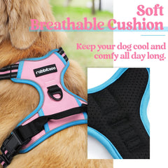 rabbitgoo dog harness close-up showing its two metal leash attachment clips.