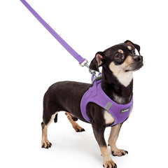 rabbitgoo dog harness and leash set shown from the front.