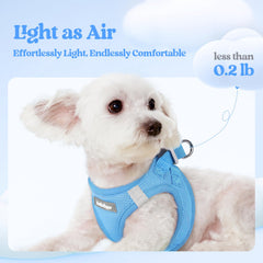 rabbitgoo dog harness showing the adjustable hook-and-loop closure.