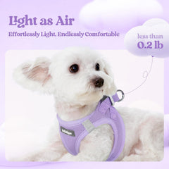 rabbitgoo dog harness shown being worn in a step-in fit