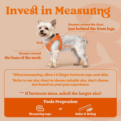 rabbitgoo small dog harness shown from the back.