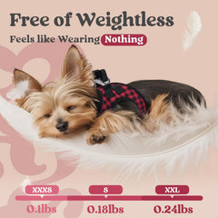 rabbitgoo small dog harness with a close view of the fastening buckle.