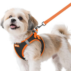 rabbitgoo small dog harness shown from the front.