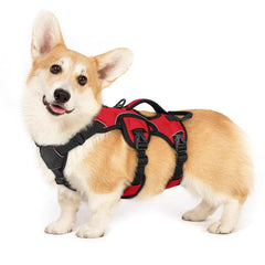 rabbitgoo small dog harness shown from the front with its adjustable straps.