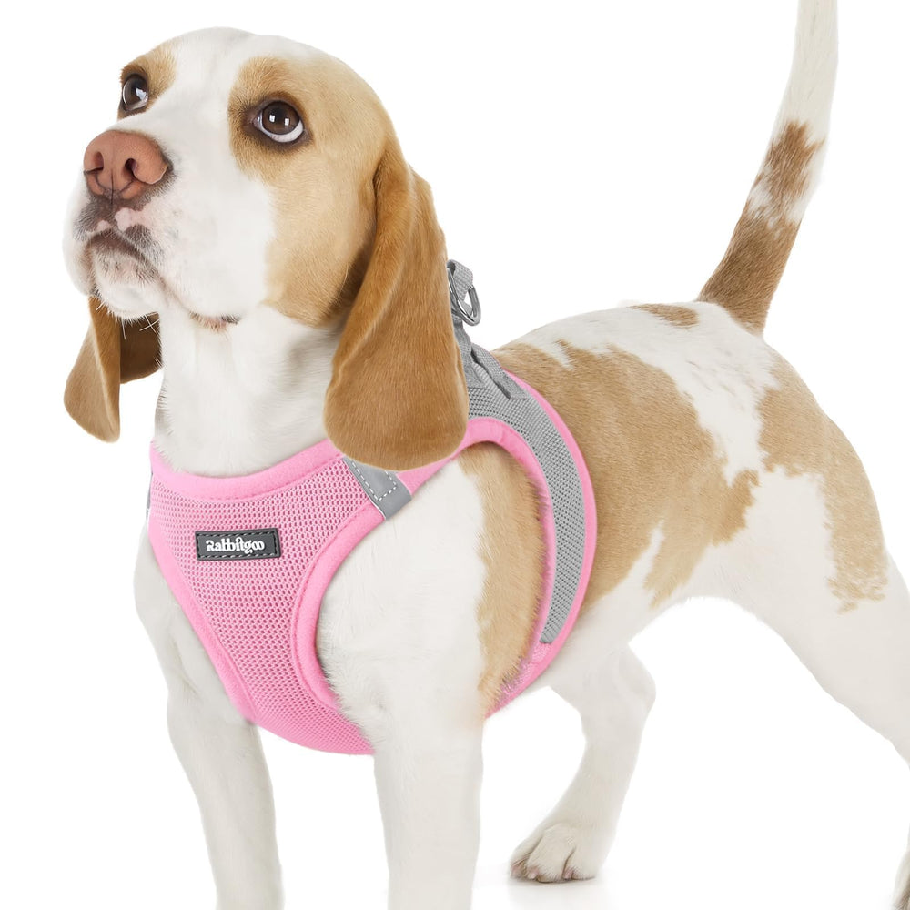 rabbitgoo Step-in Small Dog Harness shown from the front.