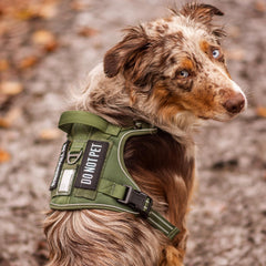 rabbitgoo Tactical Dog Harness chest buckles shown in close-up.