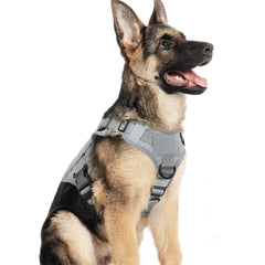 rabbitgoo tactical dog harness shown from the front with its vest shape visible.
