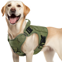 rabbitgoo Tactical Dog Harness shown from the front.