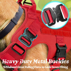 rabbitgoo Tactical Dog Harness showing its front and back leash attachment points.