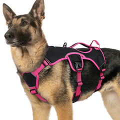 rabbitgoo X-Large dog harness shown from the front.