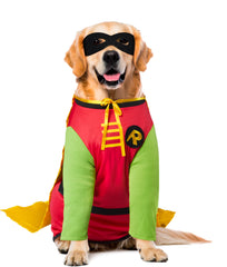 Rubies Teen Titans Robin pet costume red shirt and green sleeves shown in detail.