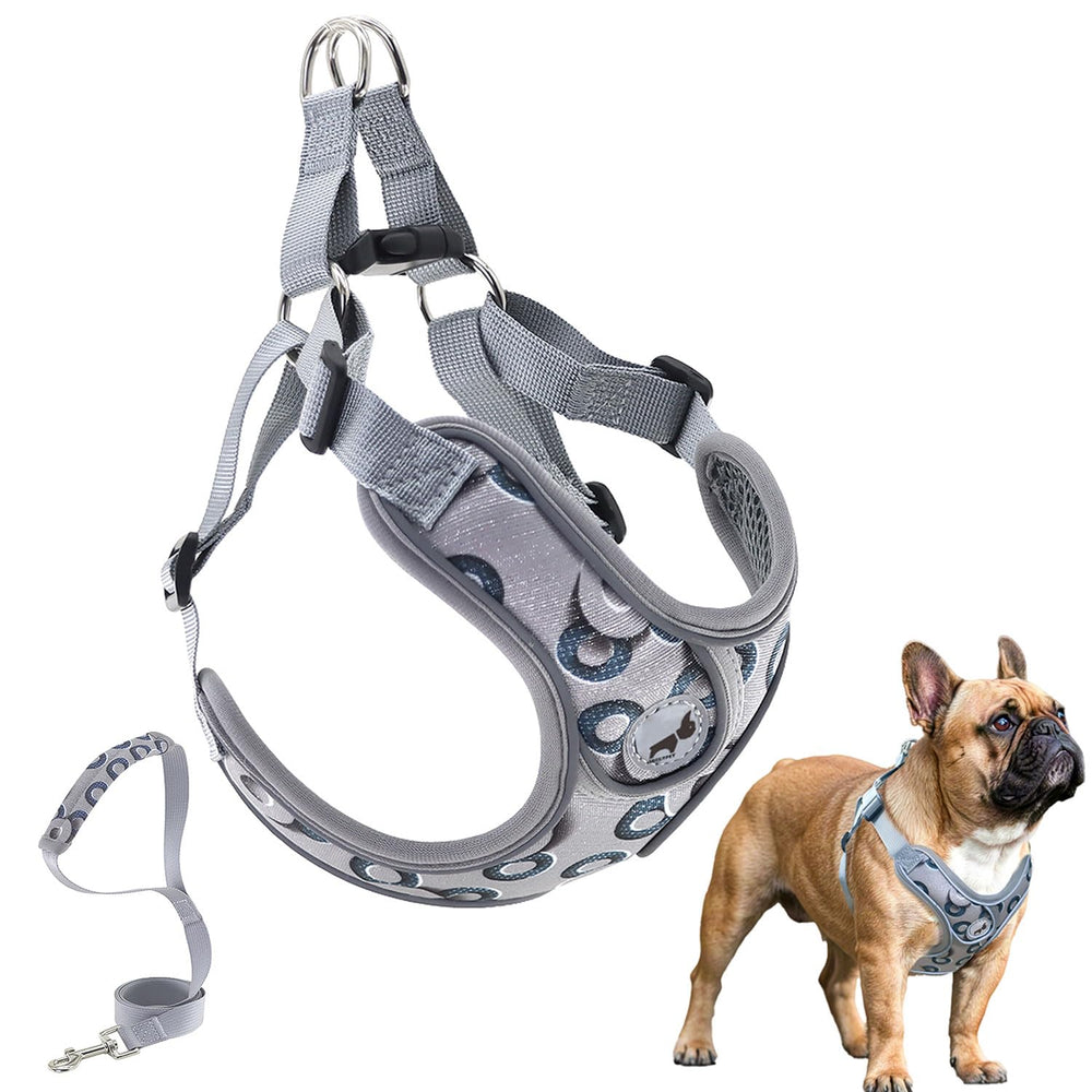 SAEGYPET dog harness shown from the front to display its vest-style shape.