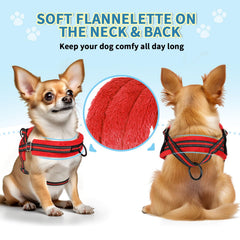 SlowTon small dog harness shown with its front D-ring attachment.