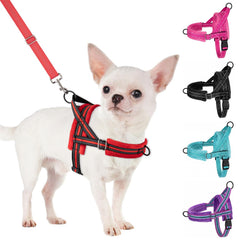 SlowTon small dog harness and leash set shown together.